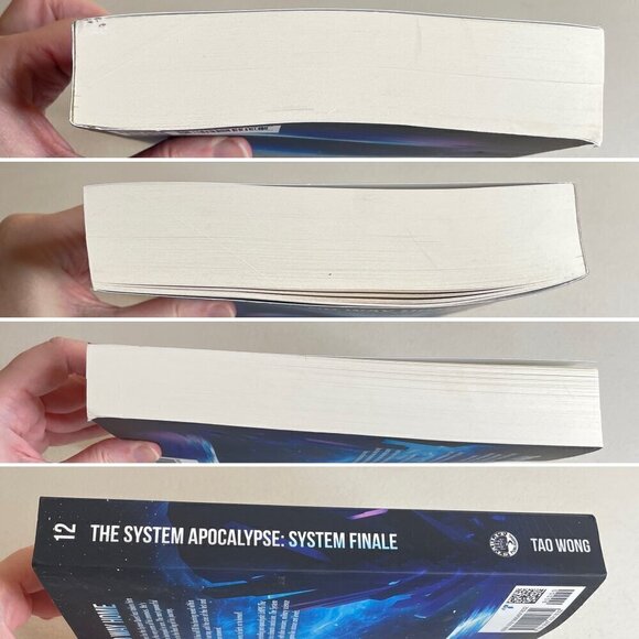 System Finale Book 12 by Tao Wong - Picture 4 of 11